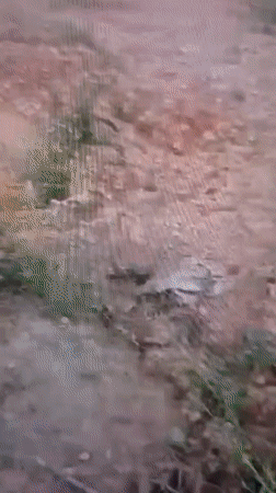 Artisanal mining footage mislabeled under a Polish location
