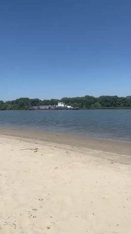 A woman in a black bikini walks into a calm body of water. She is facing away from the camera and her body is partially submerged in the water up to her thighs. She bends down slightly as if to pick something up or get more comfortable in the water. The water is clear and reflects the blue sky. A sand beach is in the foreground of the video, and a line of trees forms the background. A large boat is visible in the distance on the water. The sky is clear and blue with a few wispy clouds.