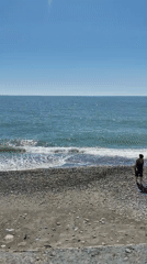 Clear sunny day observed at Sochi seaside with beverages