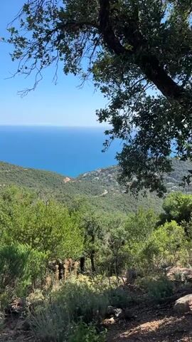 The video shows a panoramic view from a hillside looking out over the ocean. In the foreground, there are trees and foliage. In the mid-ground, there is a hillside covered in greenery with houses scattered throughout. The background is a vast expanse of blue ocean meeting the clear blue sky. The camera pans slightly to the left, revealing more of the coastline. The overall impression is one of a scenic coastal landscape on a sunny day.
