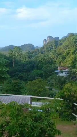 The video displays a verdant, tropical landscape with a series of small structures nestled amongst the trees and hills. In the background, a couple of elevated rock formations punctuate the sky. The camera is positioned at a slight height, offering a panoramic view that is partly obstructed by lush foliage in the foreground. A white wooden fence spans the bottom of the frame, on which a group of roosters are perched. As the video progresses, the camera pans to the right, revealing more of the surrounding terrain and tree coverage. The sky above is a light blue hue with scattered clouds.