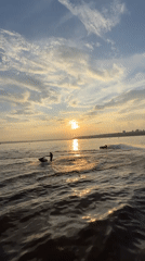 Jet skiing sunset session on Kama River, Izhevsk