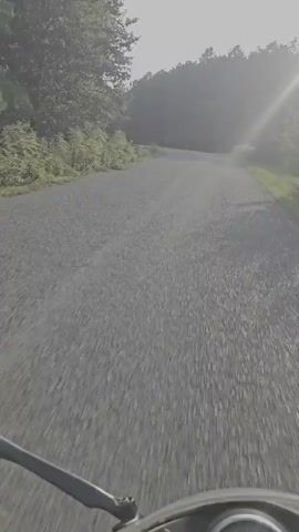 The video shows a first-person perspective of a motorcycle riding on a gravel road. The road is lined with trees on both sides. In the distance, a white car is visible parked on the side of the road. The sun is shining, creating a hazy effect. The road is bumpy and appears to be in disrepair in some sections. There are no other vehicles or people clearly visible on the road at the beginning of the clip. Towards the end of the clip, two figures are seen standing on the side of the road.
