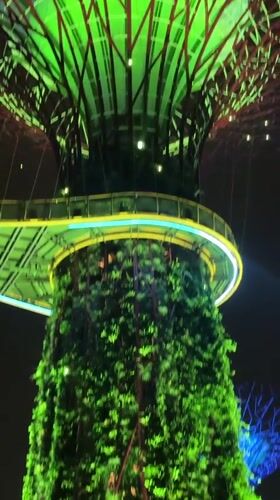Nighttime Supertrees light display witnessed at Gardens by the Bay