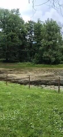 The video pans across a natural outdoor scene featuring a pond, lush green grass, and a variety of trees. The pond appears to have algae or aquatic plants floating on its surface, and small white flowers are scattered throughout the grass. In the background, a dirt road is visible, with a dark-colored vehicle parked on its side. Further in the distance, an old, dilapidated building can be seen nestled among the trees. The overall atmosphere is tranquil and appears to be a rural or park-like setting.