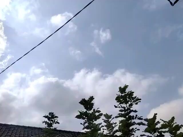 The video displays a view of the sky with some clouds and a black wire stretching diagonally across the frame from the upper left to the upper right. At the bottom of the frame, silhouetted against the sky, are the tops of several trees with dark green leaves, and the edge of a tiled roof. The lighting suggests it is daytime, possibly sunny with some cloud cover.