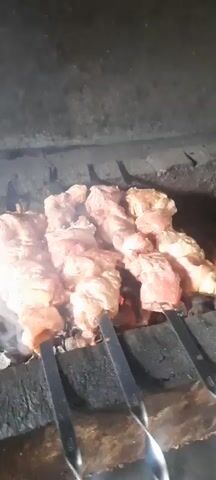 Meat is being grilled over hot coals in a barbecue pit. The meat is on skewers and is starting to brown. There is smoke rising from the grill. The video is shot from a close-up perspective, focusing on the food.