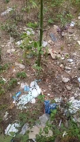 The video shows a wooded area filled with litter. The ground is covered in dirt, leaves, and various discarded items, including plastic bags, wrappers, and paper. Several small plants and trees are growing among the trash. The camera pans slightly across the scene, highlighting the extent of the debris. There are no people or animals visible. The overall impression is one of neglect and environmental pollution.