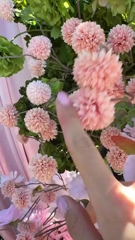 The video shows a close-up shot of a floral arrangement set against a backdrop of draped fabric. The arrangement features a variety of flowers in pastel shades of pink, white, yellow, and green. The flowers include small, round pom-pom like blossoms, larger daisy-like blooms, and other delicate flowers with thin petals. Green foliage is interspersed throughout the arrangement. The fabric backdrop is a mix of light pink and darker green. The camera gradually zooms out to reveal more of the arrangement and backdrop.  In the background, glimpses of a wooden fence and green grass can be seen. The scene appears to be part of an event setup, possibly a wedding or party decoration.