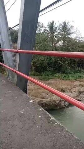 The video begins with a close-up of a red railing on a bridge. The camera pans to the right, revealing a river below and lush green vegetation on the banks. Several palm trees are visible in the distance. As the camera continues to pan, it shows a rocky riverbed and a person fishing from the bank. The camera then pans further to the right, showing more of the river and the surrounding landscape, which includes more trees and foliage. The video ends with a view of the bridge's concrete support structure and the red railing.
