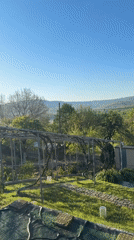 Garden landscape documented in rural Bulgarian village