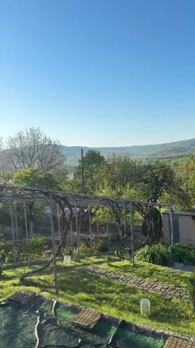 Garden landscape documented in rural Bulgarian village