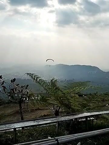 The video shows a paraglider in the sky over a mountainous landscape. In the foreground, there is a tall, dark evergreen tree on the left and a wooden walkway or platform on the right. There are also some bushes and plants, including a large fern-like plant. In the middle ground, there are two red tents set up on a grassy slope. The paraglider is red and white and appears to be in mid-flight. The sky is cloudy with some rays of sunlight breaking through. The overall scene suggests an outdoor recreational area, possibly a campsite or a viewpoint.