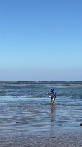 Morning beach scenes documented across Denpasar coastline