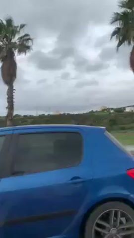 The video shows a cloudy day by a parking lot. A tall palm tree stands to the left of the frame. A blue car passes by the camera. The parking lot has several vehicles parked, including two small white trucks. A person dressed in black crosses the road. The terrain beyond the parking lot is green and hilly, with a few buildings visible in the distance.
