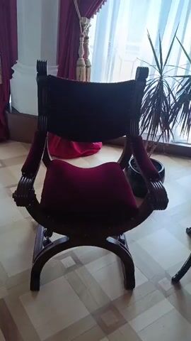 The video pans across a room. The room appears to be a formal setting, possibly a historical or museum space, with ornate furnishings. In the foreground, a dark wooden chair with red velvet upholstery is prominently featured. The chair has a distinctive curved design with carved details on the arms and legs. To the left of the chair, a large plant in a dark pot is visible, partially obscuring a window with sheer white curtains and heavy maroon drapes. To the right of the chair, a dark wooden table with intricate carvings and curved legs stands. Behind the table, a dark wooden paneling structure with decorative gold trim and red accents is displayed. The floor is made of polished wood in a parquet pattern. The lighting suggests an indoor environment, with natural light coming from the window. The camera movement is slow and steady, allowing the viewer to take in the details of the room's decor. No people are visible in the video.