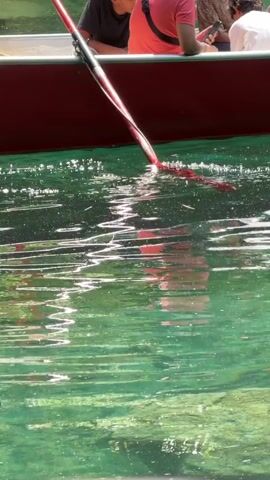 The video shows a close-up view of a red canoe on clear, green water. A red oar is visible, with its blade submerged and creating ripples. The bottom of the canoe is a deep red color. In the background, partially visible over the side of the canoe, are several people. One person on the left wears a black t-shirt. Next to them is a person in a coral pink shirt with a black strap across their chest. Another person wears a light-colored short-sleeved shirt. Further to the right, a person in a white t-shirt is visible, and a person with blonde hair in a pink top is also present. The water is shallow enough to see the rocky bottom beneath the surface.