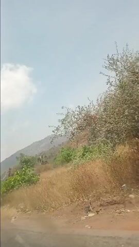 The video shows a roadside view of a hilly landscape under a sky with light, scattered clouds. The camera is likely mounted inside a vehicle, capturing the passing scenery. Vegetation on the hills is mostly dry brown grass interspersed with patches of green trees. As the vehicle progresses, power lines can be seen in the background near the hilltops. The road is asphalt. The landscape has a somewhat barren appearance, with the brown vegetation dominating the scenery.