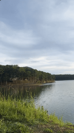 Overcast morning at Da Lat lakes draws multiple observers