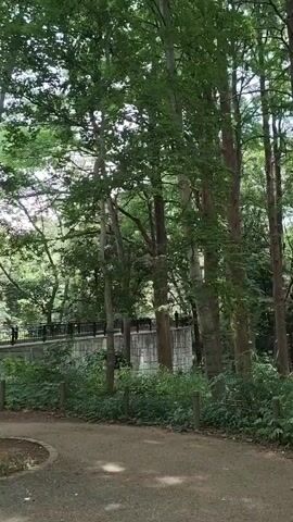 The video shows a path through a wooded area. Tall trees with green foliage line the path. In the background, a stone bridge and a small gazebo are visible. The lighting suggests it is daytime.