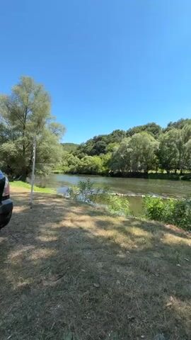 A vertical video pans across a natural landscape. In the foreground, dry, sun-drenched grass is visible, with the edge of a vehicle's bumper on the left. A thin, vertical pole stands in the grass. The mid-ground features a river with calm water flowing towards the right. Small, green plants dot the edge of the river. The background is dominated by a dense forest of green trees, with rolling hills behind them. The sky is a clear, bright blue.