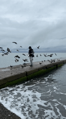 Morning life captured across rainy Sochi waterfront and gardens