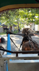 Boat journey and coastal views documented in Indonesia