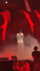 Concert crowd films performance with phones in Nanterre