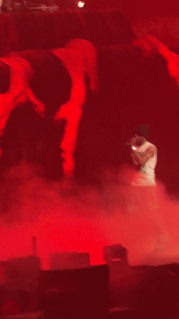 Concert crowd films performance with phones in Nanterre