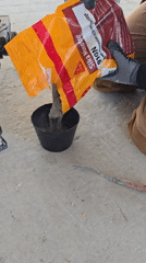 Construction crew mixes cement, lays reinforcement at building site