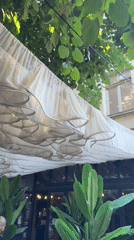 Afternoon street scenes captured in historic Plovdiv dining district