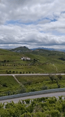 Vineyard landscape documented in Portuguese wine country