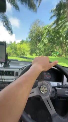 The video is a point of view shot from inside a car. A person's hands are visible on the steering wheel. The car is driving through a scenic, tropical environment with lush green grass, palm trees, and a large, rocky mountain in the background. The sky is blue with some clouds. The car's interior is visible, including the dashboard, steering wheel, and part of the driver's leg. The video appears to be a recording of a drive through a natural landscape.