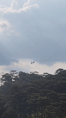 Cable cars and scenic roads observed in Da Lat