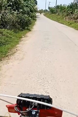 The video shows a first-person perspective of someone riding a motorcycle on a paved road. The road is flanked by lush green vegetation and trees, suggesting a rural or tropical environment. In the distance, utility poles are visible along the roadside. The rider's handlebars and part of the motorcycle's front are in view at the bottom of the frame. The sky is clear and bright, indicating daytime. The motorcycle is moving forward at a steady pace, and no other vehicles or people are clearly visible in the immediate vicinity, though a distant figure on a motorcycle can be seen further up the road. The road surface appears somewhat uneven with visible tire tracks or wear marks.
