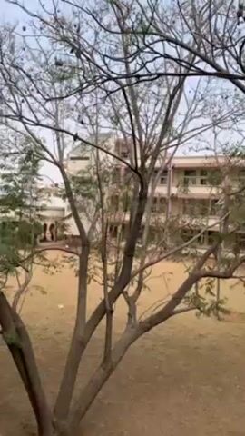 The video depicts a view from a slightly elevated position, looking out at a grassy field and a building in the background. The foreground is dominated by trees with bare branches and some with green leaves, partially obscuring the scene. The field is a dry, brownish color.  In the background, a multi-story building with a beige exterior is visible, and people are seen walking around the entryway. The sky is overcast, suggesting a cloudy day.  The camera slowly pans slightly, providing a broader view of the scene.
