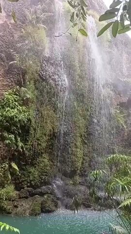 A narrow, multi-tiered waterfall cascades down a mossy, rocky cliff face into a turquoise pool of water. The vegetation is lush and green, with ferns and other plants growing along the sides of the waterfall. The water appears to be flowing from an unseen source above, and the spray from the falls creates a misty atmosphere. The scene is serene and natural, with no signs of human activity.