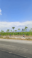 Vehicle footage captures sunny morning drive through Tlasih, Indonesia