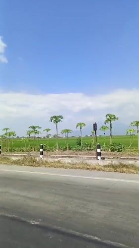 Vehicle footage captures sunny morning drive through Tlasih, Indonesia