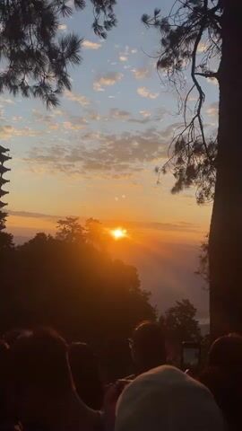 The media file captures a serene sunrise scene, likely from a mountaintop overlooking a valley. The sky is painted with warm hues of orange and yellow as the sun breaks through scattered clouds, casting dramatic rays of light across the landscape. Silhouetted against this vibrant sky are the dark shapes of trees and a distant pagoda, suggesting a spiritual or cultural setting.

In the foreground, a group of people are gathered, their backs to the camera, engrossed in witnessing the sunrise. Several individuals are holding up smartphones to capture the moment, their devices reflecting the golden light. The atmosphere appears peaceful and awe-inspiring, with the shared experience of observing nature's spectacle creating a sense of quiet contemplation. The time of day is clearly dawn, indicated by the rising sun and the soft, diffused light. The presence of a pagoda hints at a location in East Asia, and the provided context identifies it as Chengjiang, China. The weather seems clear, allowing for an unobstructed view of the sunrise. The overall emotion conveyed is one of tranquility, wonder, and shared appreciation for the natural beauty unfolding before them.