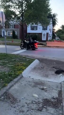 The video captures an outdoor scene with a motorcycle in motion. The motorcycle is black and appears to be a cruiser-style bike. It has a rider and a passenger, both wearing dark clothing. The motorcycle's brake lights are illuminated red, indicating it is slowing down or stopping. The motorcycle is on a paved road, possibly at an intersection, as there is a stop sign visible in the frame. The surrounding environment includes residential buildings with white and brick facades, trees with green foliage, and a grassy area with some weeds and debris. The lighting suggests it is dusk or early evening. The camera angle is from a low vantage point, looking across a sidewalk and grassy verge towards the road.
