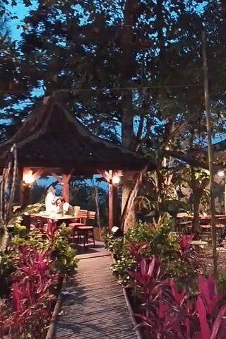The video pans across an outdoor seating area at dusk. In the foreground, a wooden walkway is lined with vibrant red and green plants. To the left, a covered pavilion with a thatched roof shelters several tables and chairs. Two individuals are seated at one of the tables, illuminated by warm light from within the pavilion. Beyond the pavilion, more outdoor seating areas with tables and chairs are visible, interspersed with trees and foliage. String lights are scattered throughout the scene, casting a gentle glow. The ground appears wet, possibly from recent rain, with scattered leaves. The sky is a deep twilight blue, indicating the transition from day to night.