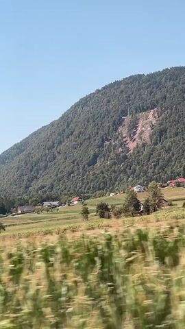 This is a video of a rural landscape taken from a moving vehicle. The foreground is out of focus, showing green grass and blurred vegetation, possibly a crop like corn or hops. In the midground, there are fields of crops and some scattered houses with red roofs. A large, tree-covered mountain dominates the background. The sky is clear and blue. There are no people visible in the video. The camera is panning to the right, showing a change in scenery as the vehicle moves. The overall impression is of a sunny day in a country setting, possibly during harvest season given the appearance of the crops.
