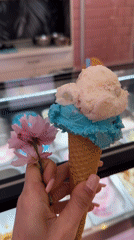 Ice cream purchases documented in Amsterdam Sunday afternoon