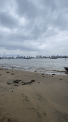London Thames foreshore and waterways documented by witnesses