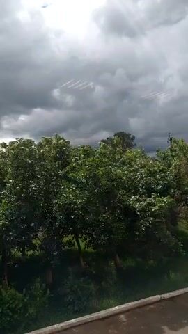 The video shows a view of trees against a cloudy sky. In the sky, there are multiple white lines that appear to be contrails from airplanes. The clouds are dark and look like they might bring rain. The trees are green and lush, and there is some brush and grass in the foreground. The ground in the foreground is a concrete or paved surface. The camera is stationary.