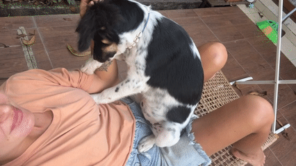 Dog and owner share quiet morning moments in Kuta Selatan