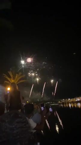 The video shows a nighttime outdoor scene with fireworks exploding in the sky above a body of water. Silhouettes of palm trees are visible on the left side of the frame. Several people are gathered, facing away from the camera and towards the fireworks display. Some individuals are holding up their mobile phones, presumably to take pictures or record videos of the event. In the background, across the water, there are illuminated buildings and a bridge. The reflections of the fireworks and the lights from the buildings are visible on the surface of the water. The overall atmosphere appears to be celebratory.