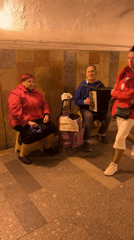 Everyday life scenes documented across Saint Petersburg