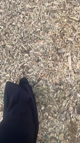 The video opens with a first-person perspective shot of someone walking on a path covered in wood chips. The camera then pans up to show a wooden information board with text and images in Russian. The board appears to be a historical marker or display, possibly relating to a route or journey. Lush green foliage is visible in the background, indicating an outdoor setting, likely a park or natural area. The video concludes with a close-up of the information board, revealing more details about its content.